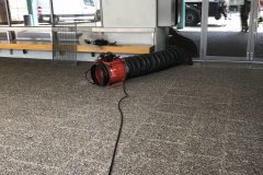 IMG_0378