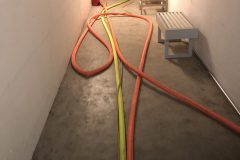 IMG_0387