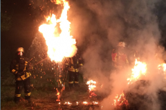 Einsatz_201863_03-5