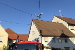 IMG_7474